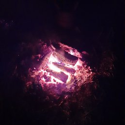 ������, ������