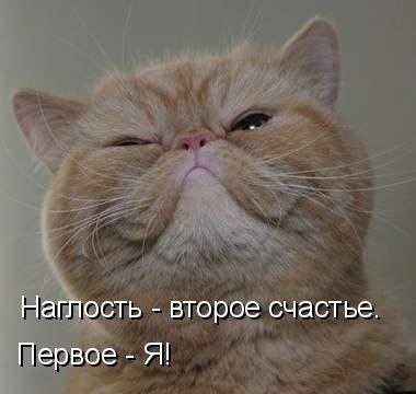    - 23  2022  14:26