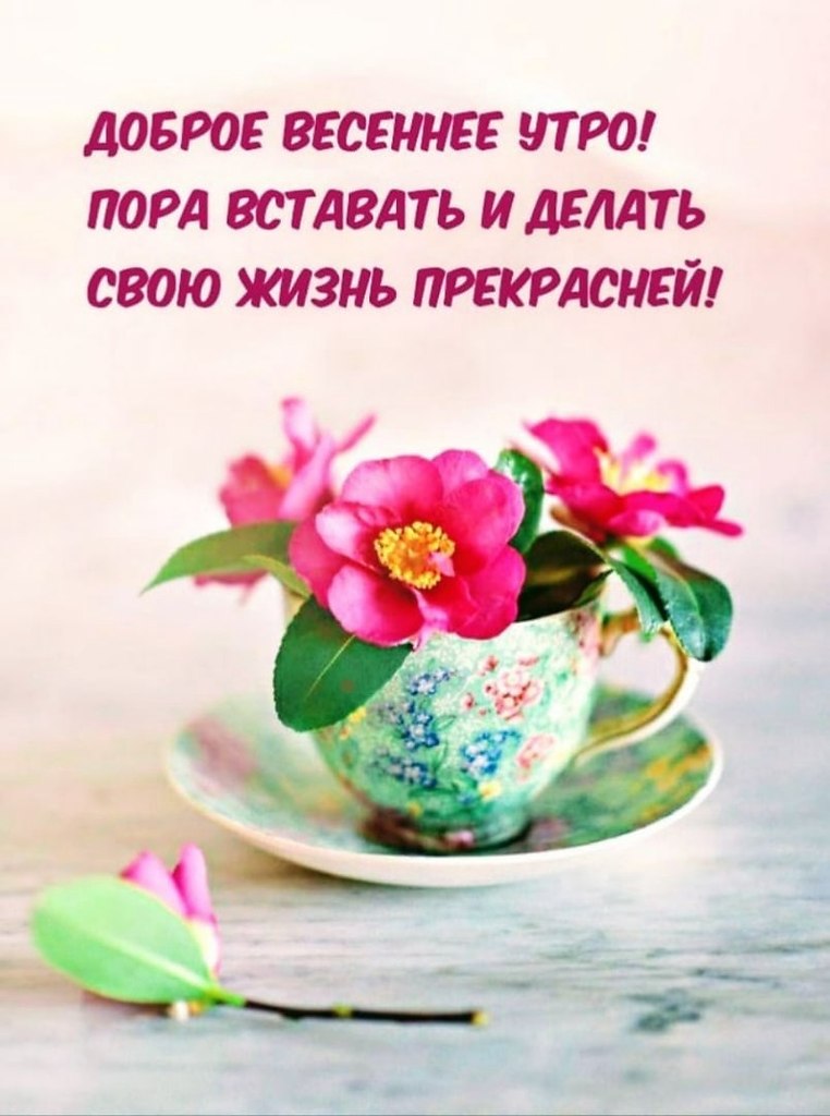   ,    . - 29  2022  08:09