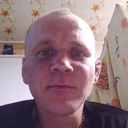 �������, ������, 41 ���