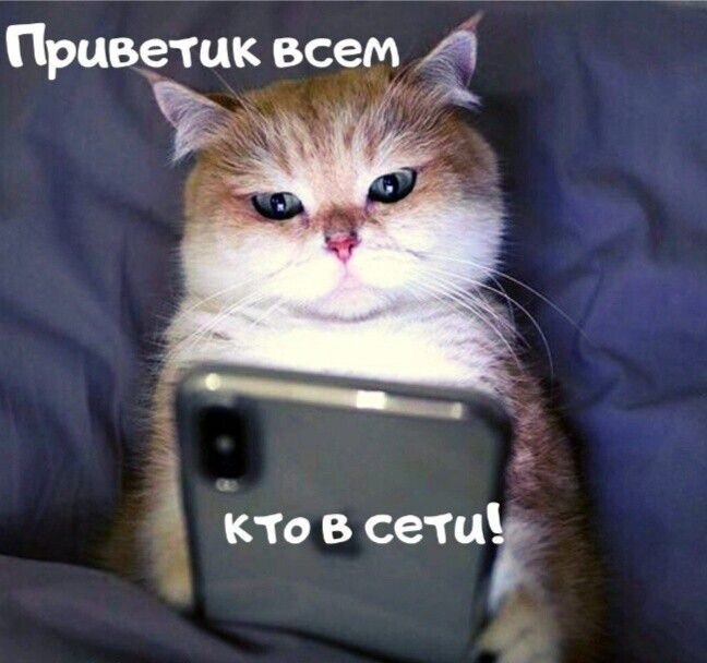 ***Victoria Viktorovna*** - 5  2022  07:27