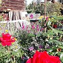 ���� �������, ����, 63 ���� - ��������� 30 ������ 2023