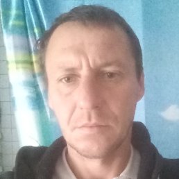 �������, ���������, 46 ���