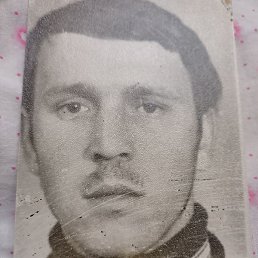 ��������, ������, 37 ���