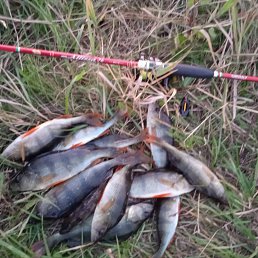 ���� ���������, ������, 50 ��� - ��������� 27 ������ 2023