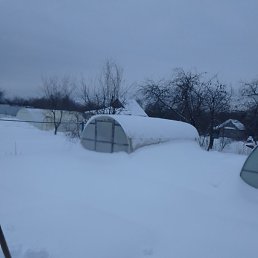 ��������, ������, 66 ���