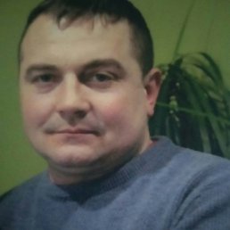  ., , 44  -  28  2022