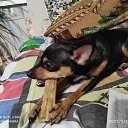 ���� ������, �����, 44 ���� - ��������� 19 ������� 2022 � ������ ���� ����������