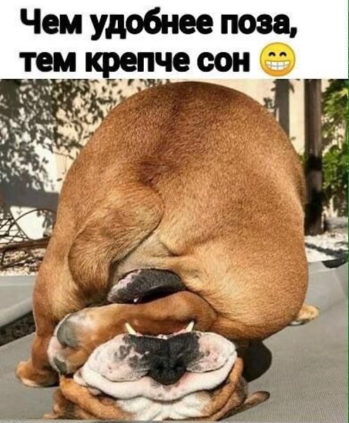   - 12  2022  08:04