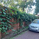 ���� ����, �����������, 64 ���� - ��������� 18 ���� 2022 � ������ ���������� � ���� 2022 �. .... )))�