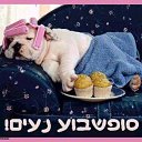  Prishelets Prishelets, , 61  -  3  2022    