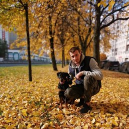 ���� ���������, ������, 33 ���� - ��������� 16 ������� 2023