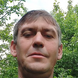 ������, ��������, 47 ���