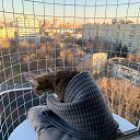 ���� �������, ������, 63 ���� - ��������� 18 ������� 2022 � ������ ���� ����������