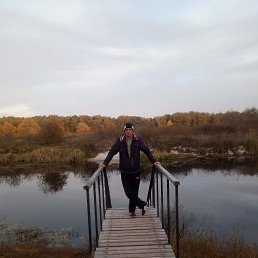 ������, 46 ���, �������