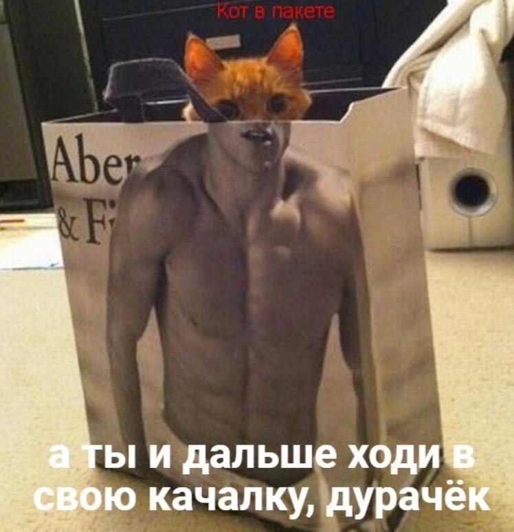 ��� �������� �������� - 20 ������� 2022 � 18:36