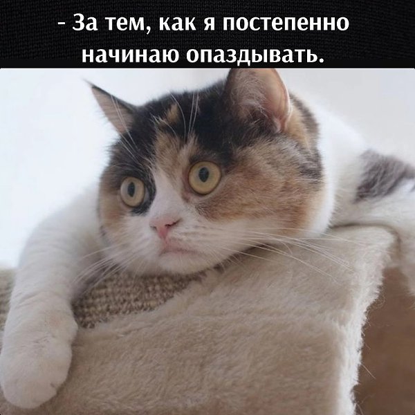       - 9  2023  11:37 - 4