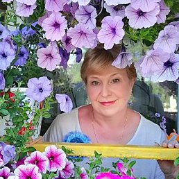 ����, �����, 67 ���