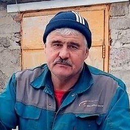 �����, �������, 38 ���