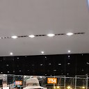  , , 61  -  28  2022