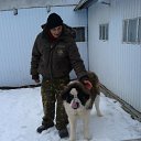 ���� �������, ���������, 49 ��� - ��������� 22 ���� 2022 � ������ ���� ����������