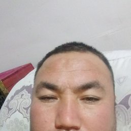 , 37, 