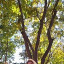 ���� �����, ������ - ��������� 3 ������� 2022 � ������ ���� ����������