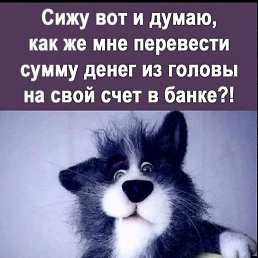 �������, �������, 50 ���