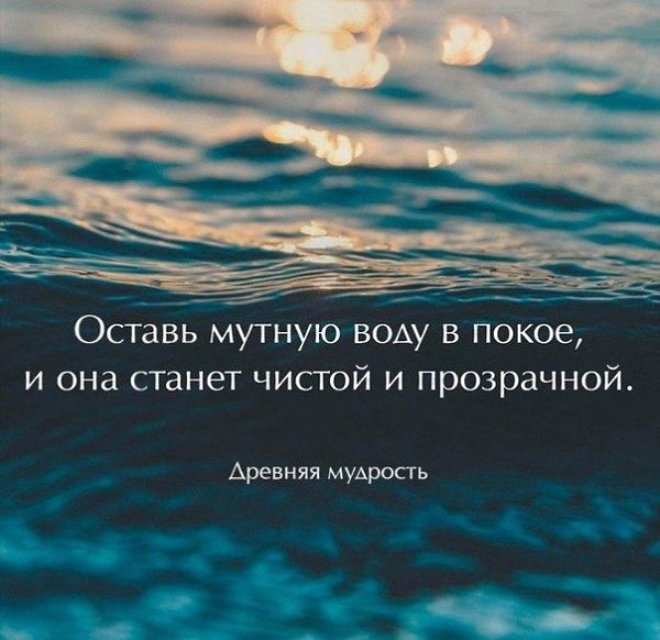 ������� ������ ����������� - 26 ������� 2022 � 13:09