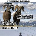 ���� �������, ����������� - ��������� 19 ������� 2022 � ������ ���� ��������
