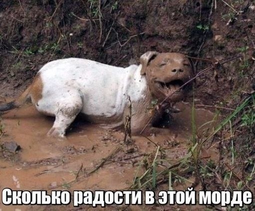  !