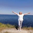  , , 56  -  29  2022   - 2022