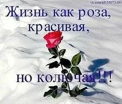 ���� ������, ��������, 55 ��� - ��������� 6 ������� 2022