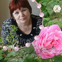 ���� �������, ����, 67 ��� - ��������� 11 ������ 2022 � ������ ���� ����������