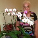 ���� �������, ������, 76 ��� - ��������� 11 ������ 2022 � ������ ������ ��������