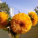 ���� C�����, ������, 53 ���� - ��������� 30 ������ 2023