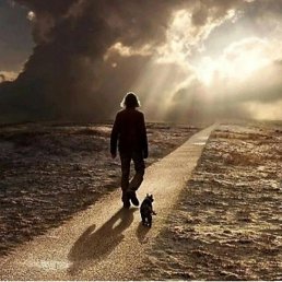 Didital, �������