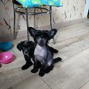 ���� ������, ������ - ��������� 31 ������� 2022 � ������ ���� ����������