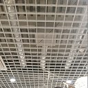 ���� �������, �����-��������� - ��������� 2 ������� 2022 � ������ ���� ����������
