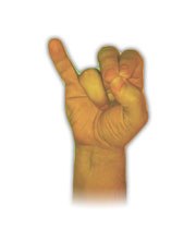   (maharsis mudra).    ,     ...