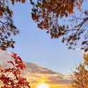 ���� �������, ����������� - ��������� 26 �������� 2022 � ������ ���� ����������