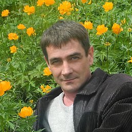 Nik, �������, 50 ���