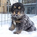 ���� ����, �����-��������� - ��������� 6 ������ 2022 � ������ ������ ��������