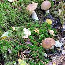 ���� �������, ������, 63 ���� - ��������� 25 ������� 2022 � ������ ���� ����������