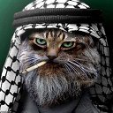 ���� Zanetta, ���� - ��������� 5 ��� 2022 � ������ ���� ����������