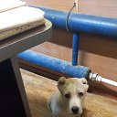 ���� ���������, ���������� - ��������� 6 ������� 2022 � ������ ������ ��������