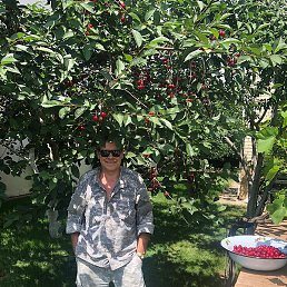 Aleksander, ��������, 62 ����