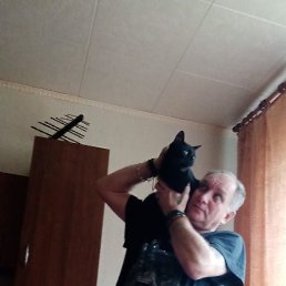 ���� �������, �������, 56 ��� - ��������� 9 ������� 2023