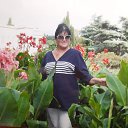 ���� �������, ����������� - ��������� 9 ��� 2022 � ������ ���� ����