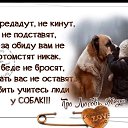 ���� �����, ���, 65 ��� - ��������� 13 ����� 2022 � ������ ���� ����������